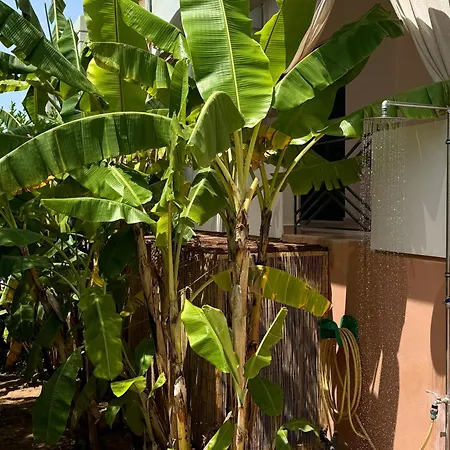 Casa de Férias Nefeli *